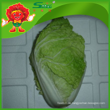 Frisches Gemüse Chinesisch Grünkohl Weißkohl